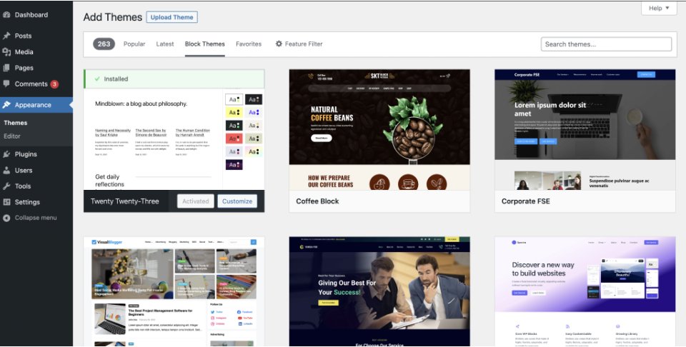 The Themes screen with block themes marked, next to the Editor entry in the Appearance menu.